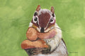 Chipmunk Hugging His Nut – Original Acrylic Painting Digital Art Print
