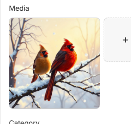 A pair of cardinals, male and female, perched on a snowy branch in a soft winter light